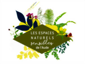 photo ENS - PLANTES AU SEC