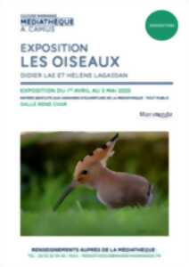 photo Exposition Les Oiseaux - Médiathèque Albert Camus