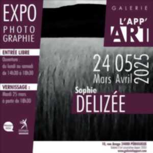 Exposition - Sophie DELIZEE