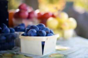 Marché gourmand