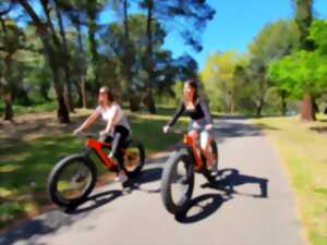 photo Balade accompagnée en fat bike électrique : plage et forêt