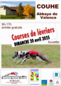 Courses de lévriers