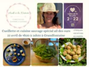 Atelier journée cueillette et cuisine de plantes sauvages