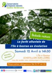 photo Balade nature : La forêt alluviale de l’île à Gaston en évolution