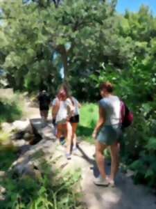 photo BALADE
