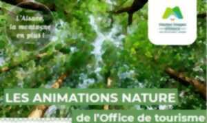 Les animations nature de l'Office de tourisme