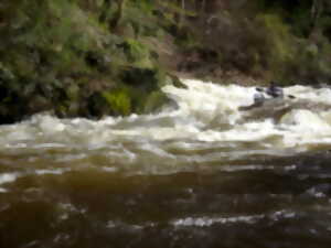 photo Concentration de Canoë-Kayak