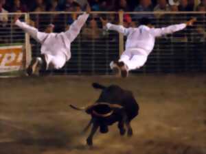 photo Arènes en fête : spectacle de vachettes