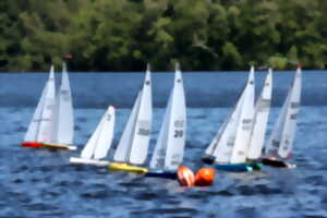 photo Opération : Bateaux sur l'eau !