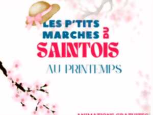 Les p'tits marchés du Saintois