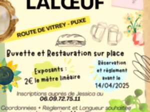 Vide grenier de Laloeuf