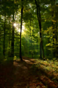 Sortie nature
