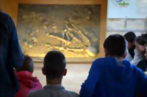 photo Visite Guidée du Musée  et Option Ateliers Bonus !