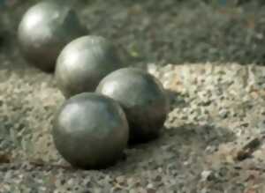 photo Concours de pétanque