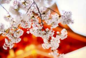 photo La journée du printemps