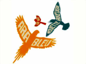 Exposition - Plumes et Cie