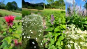 David, distillateur dans la Vallée de la Loue