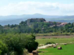 photo DÉGUSTONS L'ÉTÉ - RANDONNÉE VIGNERONNE