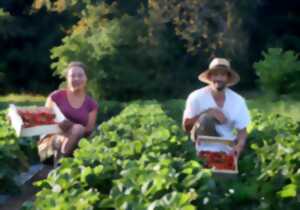 Visite d'une exploitation de fruits bio - Le Champ des Gourmands
