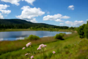 photo Balade mystérieuse au clair du lac