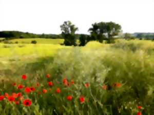 Qu'est ce qui se trama dans la prairie ?