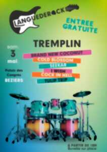 photo TREMPLIN MUSICAL - LANGUEDEROCK