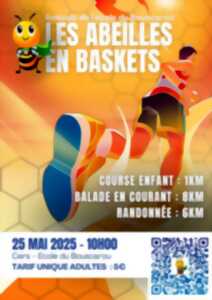 photo COURSE LES ABEILLES EN BASKETS - CERS