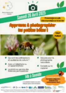 Apprenez à photographier les petites bêtes