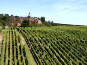 photo ALSACE ROCKS ! La Tournée des Terroirs - Etape #1