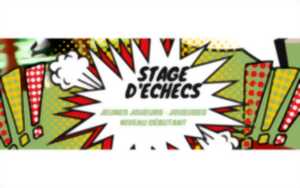 photo Stage d'Echecs