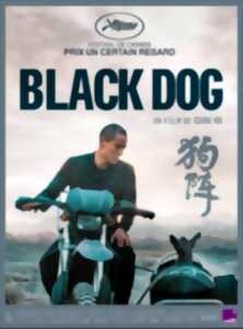 photo Cinéma - Black Dog