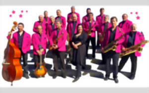 photo Animation avec le Big Band Côte Basque