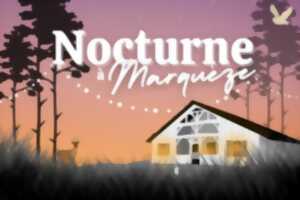 photo Nocturne à Marquèze