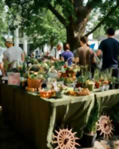 photo Vide-greniers des Loubressacois