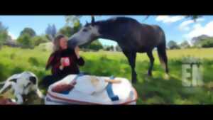 photo Rando à cheval 1/2 journée fromages de chèvres