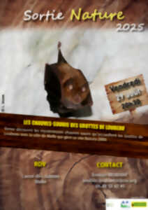 photo Les chauves-souris des Grottes de Loubeau