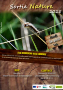 photo À la recherche de la Laineuse