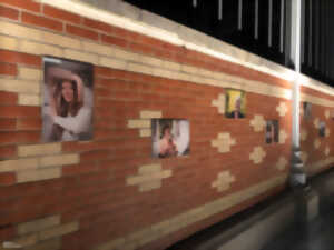 photo Entre melloises