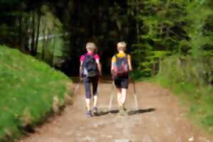 Marche semi-nocturne 2025