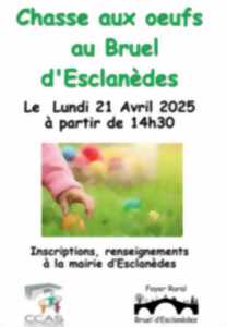 photo CHASSE AUX OEUFS