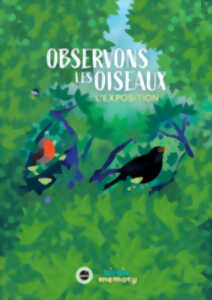photo Exposition intéractive : observons les oiseaux