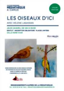 photo Atelier Peinture - Les oiseaux d'ici à la Médiathèque