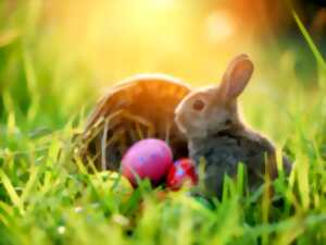 photo CHASSE AUX OEUFS