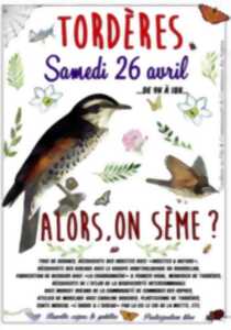 photo ALORS ON SEME?