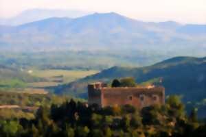 photo CHATEAU DE CASTELNOU - JOURNEES EUROPEENNES DU PATRIMOINE
