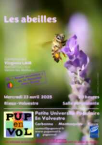 photo LES ABEILLES VIRGINIE LAIR APICULTRICE