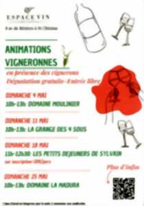 photo ANIMATIONS VIGNERONNES