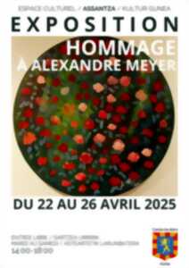 photo Exposition des oeuvres d'Alexandre Meyer