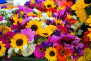 Marché aux fleurs et vide grenier