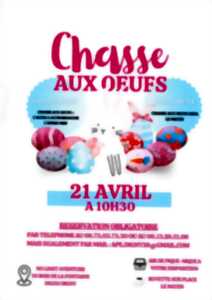 photo Chasse aux oeufs